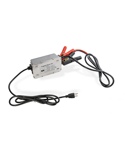 Cargador LifePower 12V 20Ah  /120VAC