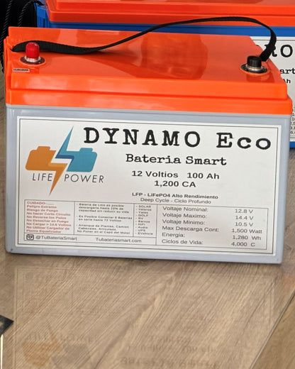 Etiqueta de la DYNAMO ECO 12V 100Ah 1,200 CA con sus polos, positivo a la izquierda